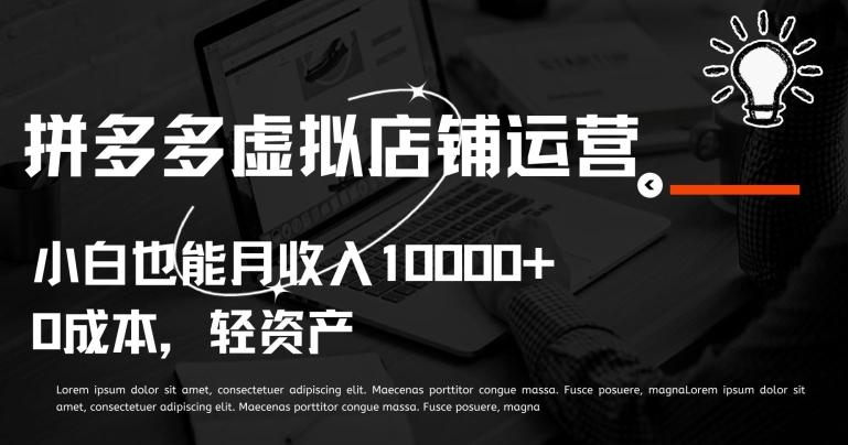 拼多多虚拟店铺运营小白也能月收入10000+【揭秘】-优优云网创