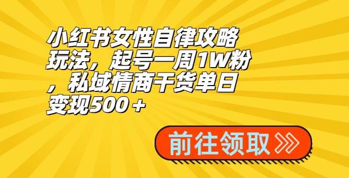 小红书女性自律攻略玩法，起号一周1W粉，私域情商干货单日变现500＋-优优云网创