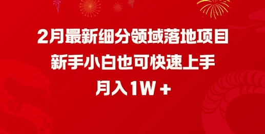 2月最新细分领域落地项目，新手小白也可快速上手，月入1W-优优云网创