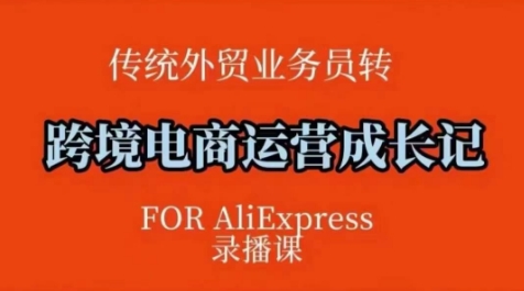 跨境电商速卖通运营课，​运营方法论+后台实操，逻辑清晰-优优云网创