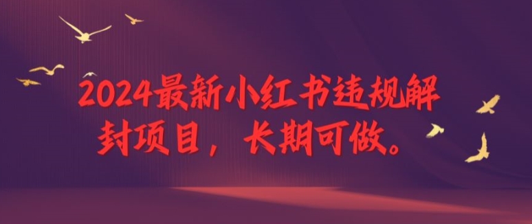 2024最新小红书违规解封项目，长期可做，一个可以做到退休的项目【揭秘】-优优云网创