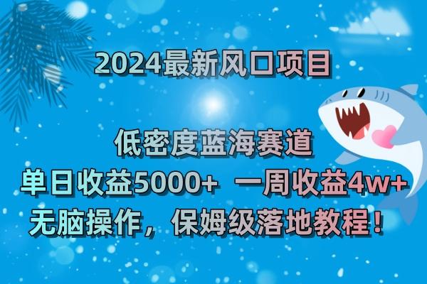(8545期)2024最新风口项目 低密度蓝海赛道，日收益5000+周收益4w+ 无脑操作，保…-优优云网创