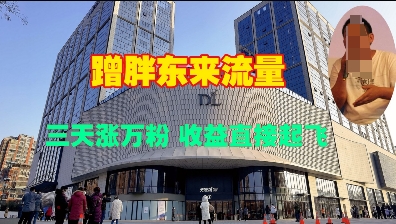 蹭胖东来流量，三天涨万粉，收益直接起飞-优优云网创