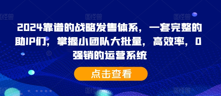 2024靠谱的战略发售体系，一套完整的助IP们，掌握小团队大批量，高效率，0 强销的运营系统-优优云网创