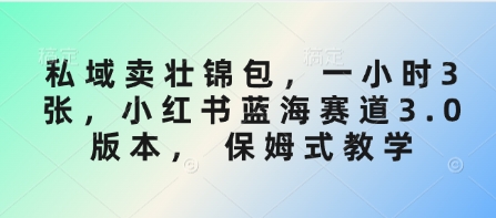 私域卖壮锦包，一小时3张，小红书蓝海赛道3.0版本， 保姆式教学-优优云网创