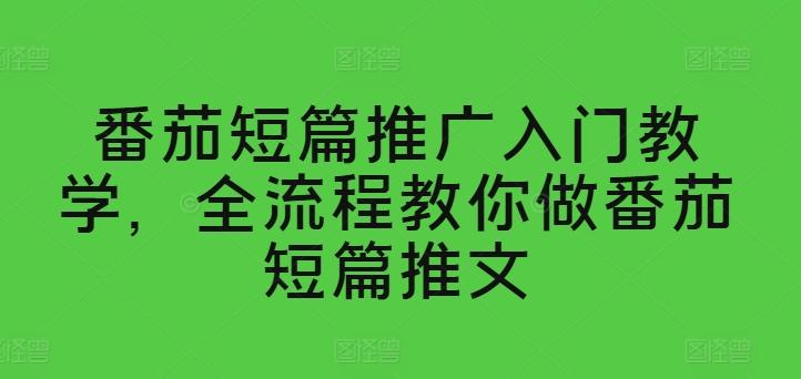 番茄短篇推广入门教学，全流程教你做番茄短篇推文-优优云网创