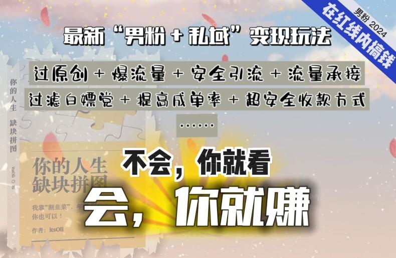 2024，“男粉+私域”还是最耐造、最赚、最轻松、最愉快的变现方式【揭秘】-优优云网创