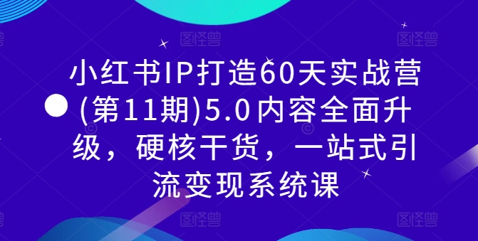 小红书IP打造60天实战营(第11期)5.0​内容全面升级，硬核干货，一站式引流变现系统课-优优云网创