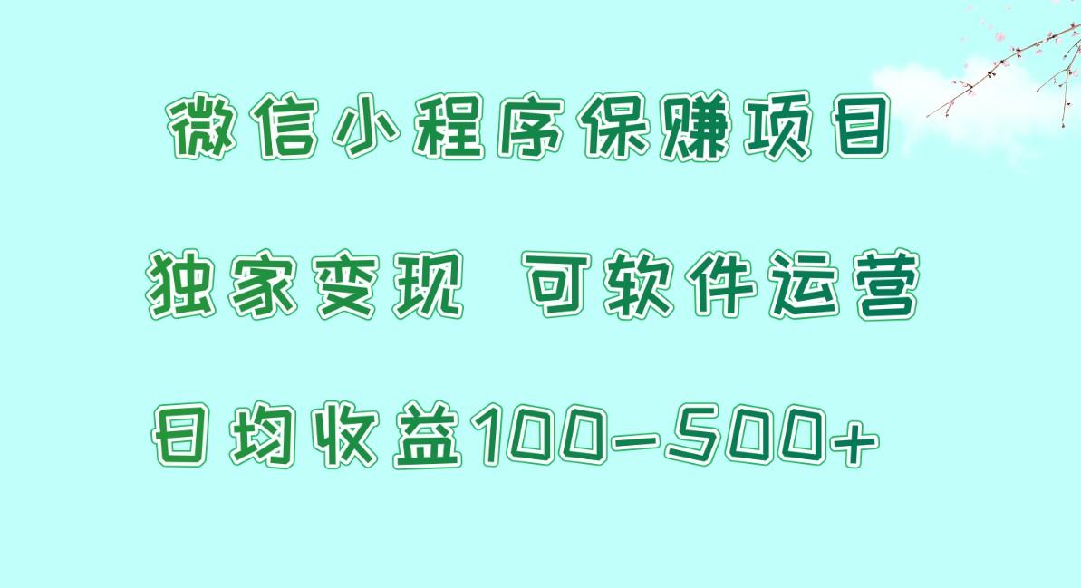微信小程序保赚项目，日均收益100~500+，独家变现，可软件运营-优优云网创
