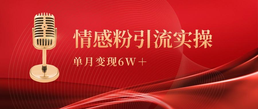 (9473期)单月变现6w+，情感粉引流变现实操课-优优云网创