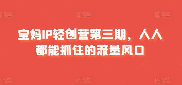 宝妈IP轻创营第三期，人人都能抓住的流量风口-优优云网创