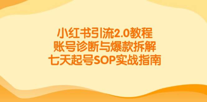 （14981期）小红书引流2.0教程，账号诊断与爆款拆解，七天起号SOP实战指南-优优云网创