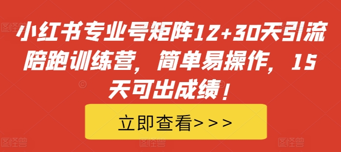 小红书专业号矩阵12+30天引流陪跑训练营，简单易操作，15天可出成绩!-优优云网创