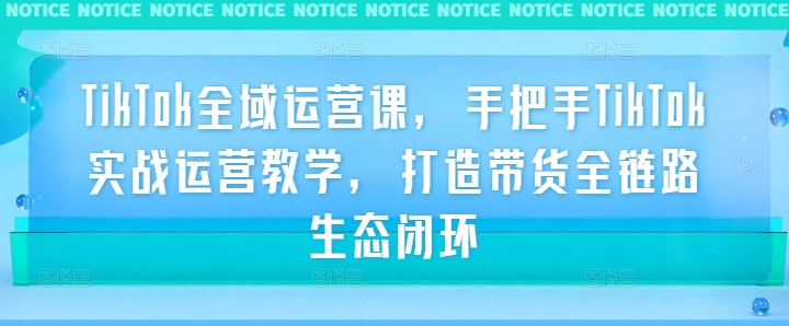 TikTok全域运营课，手把手TikTok实战运营教学，打造带货全链路生态闭环-优优云网创