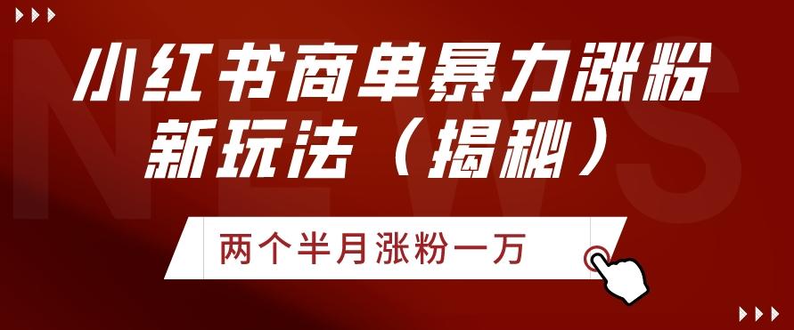小红书商单暴力涨粉新玩法两个半月涨粉一万（揭秘）-优优云网创