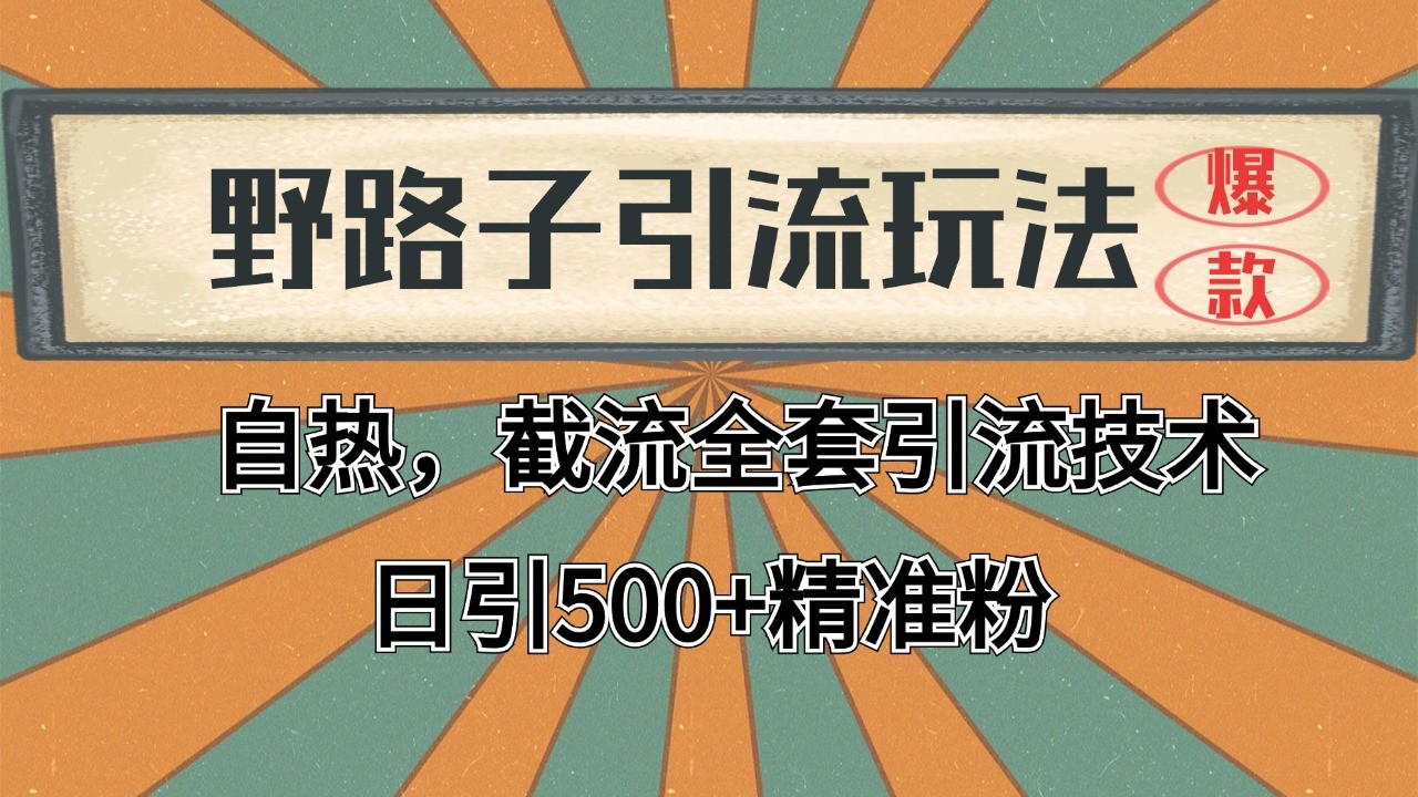 2024首发野路子引流玩法截流自热全平台打法，全自动引流【日引2000+精准客户】-优优云网创