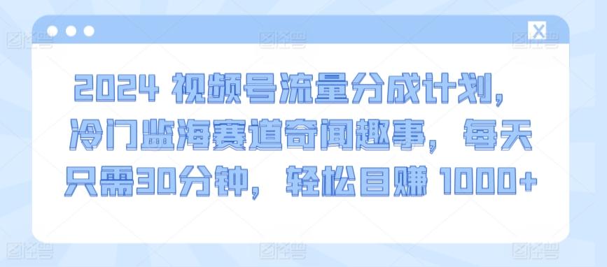 2024视频号流量分成计划，冷门监海赛道奇闻趣事，每天只需30分钟，轻松目赚 1000+【揭秘】-优优云网创