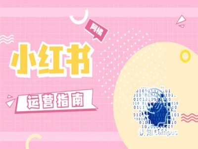 小红书运营指南，没有套路，全是经验-优优云网创
