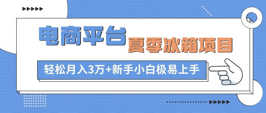 电商平台夏季冰箱项目，轻松月入3万+，新手小白极易上手-优优云网创