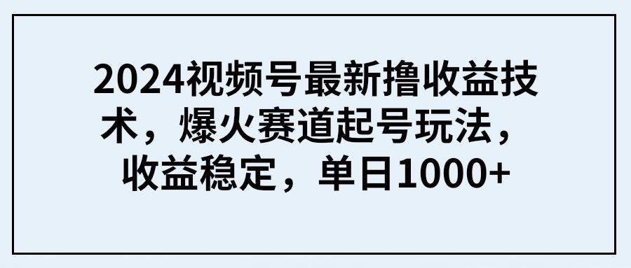 (9651期) 2024视频号最新撸收益技术，爆火赛道起号玩法，收益稳定，单日1000+-优优云网创