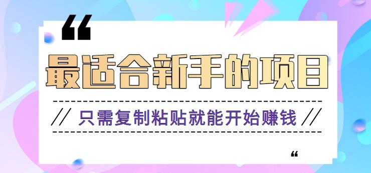 2024最适合新手操作的项目，新手小白只需复制粘贴就能开始赚钱【视频教程+软件】-优优云网创