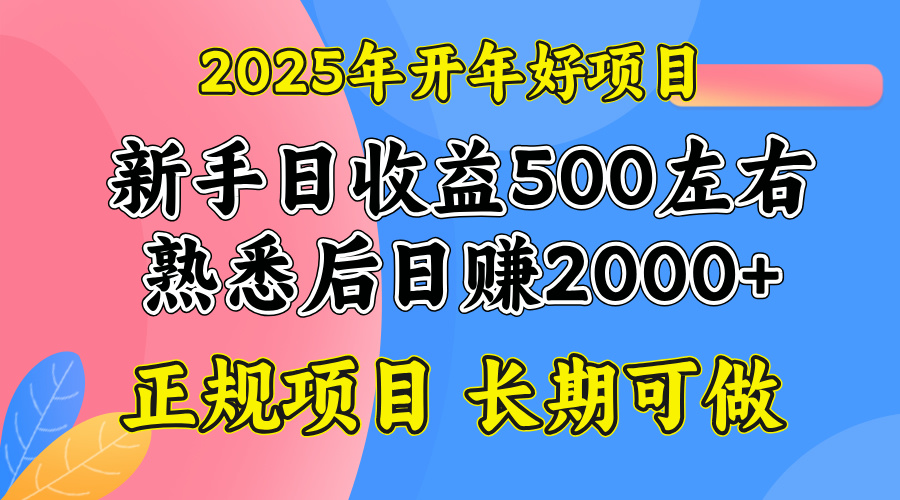 2025开年好项目，单号日收益2000左右-优优云网创