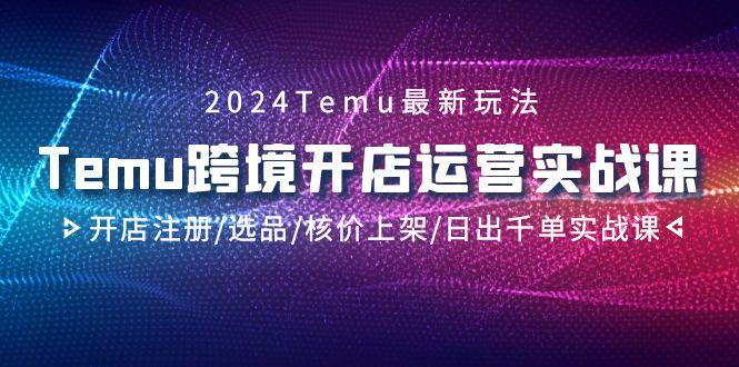 2024Temu跨境开店运营实战课，开店注册/选品/核价上架/日出千单实战课-优优云网创