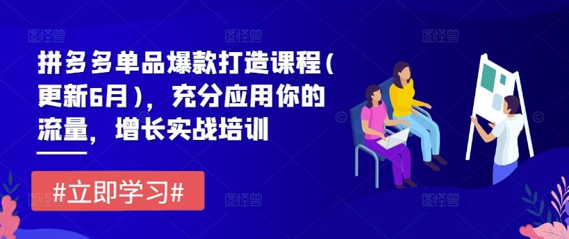 拼多多单品爆款打造课程(更新6月)，充分应用你的流量，增长实战培训-优优云网创
