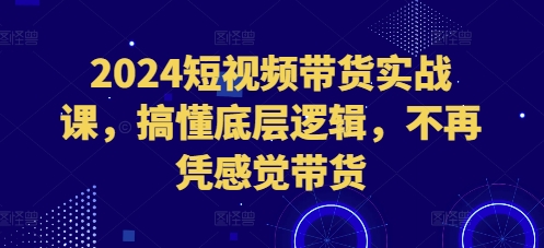 2024短视频带货实战课，搞懂底层逻辑，不再凭感觉带货-优优云网创