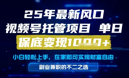 25年最新风口，视频号托管项目，单日保底变现1k+，手把手教学【揭秘】-优优云网创