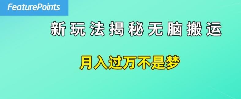 简单操作，每天50美元收入，搬运就是赚钱的秘诀【揭秘】-优优云网创