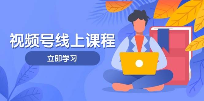 视频号实战课程，轻IP打造与运营技巧，掌握核心方法与策略-优优云网创