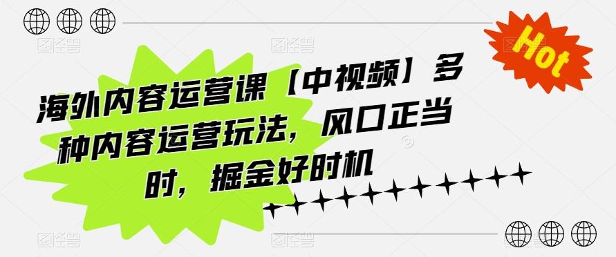 海外内容运营课【中视频】多种内容运营玩法，风口正当时，掘金好时机-优优云网创