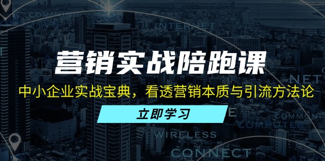 营销实战陪跑课：中小企业实战宝典，看透营销本质与引流方法论-优优云网创