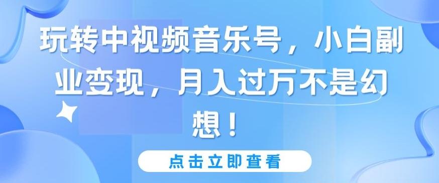 玩转中视频音乐号，小白副业变现，月入过万不是幻想【揭秘】-优优云网创