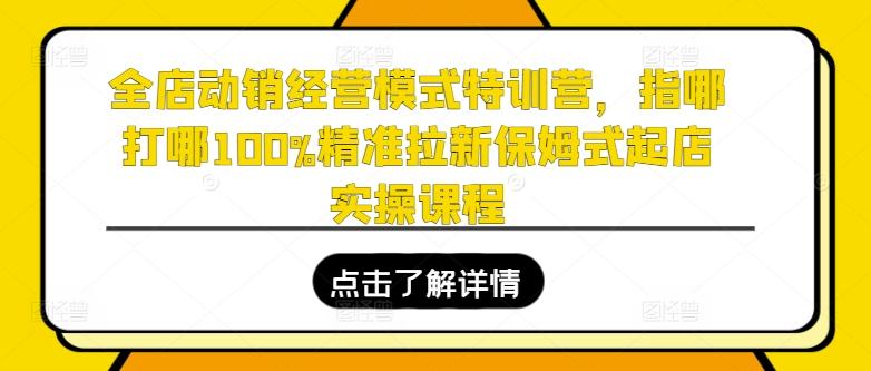 全店动销经营模式特训营，指哪打哪100%精准拉新保姆式起店实操课程-优优云网创