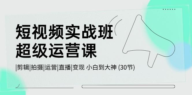 短视频实战班超级运营课 |剪辑|拍摄|运营|直播|变现 小白到大神 (30节)-优优云网创