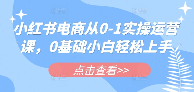 小红书电商从0-1实操运营课，0基础小白轻松上手-优优云网创