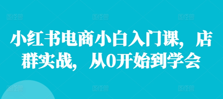 小红书电商小白入门课，店群实战，从0开始到学会-优优云网创