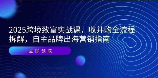 2025跨境致富实战课，收并购全流程拆解，自主品牌出海营销指南-优优云网创