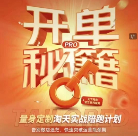 淘宝开单秘籍PRO，量身定制淘天实战陪跑计划，告别做店迷茫、快速突破运营瓶颈期(更新)-优优云网创