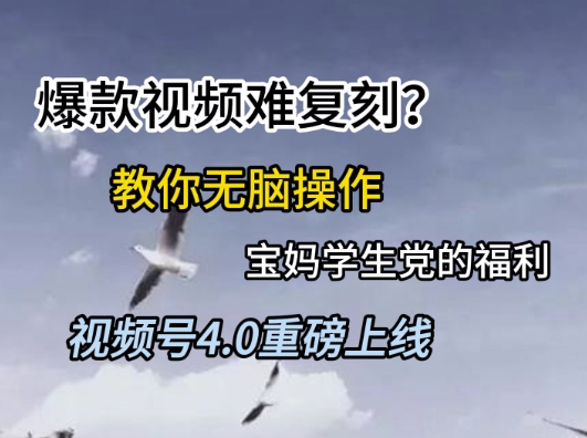 视频号4.0重磅上线，爆款视频难复刻？教你无脑操作宝妈学生党的福利【揭秘】-优优云网创