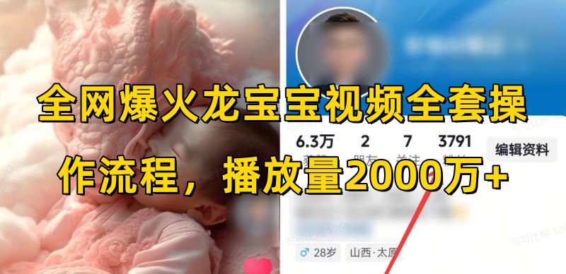 全网爆火龙宝宝视频全套操作流程，播放量2000万+-优优云网创