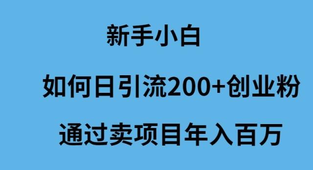 (9668期)新手小白如何日引流200+创业粉通过卖项目年入百万-优优云网创
