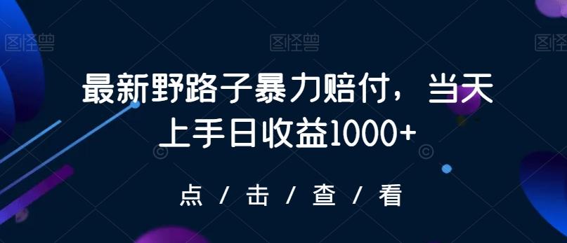 最新野路子暴力赔付，当天上手日收益1000+【仅揭秘】-优优云网创