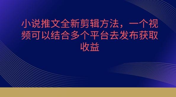 小说推文全新剪辑方法，一个视频可以结合多个平台去发布获取【揭秘】-优优云网创