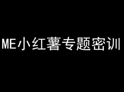 ME小红薯专题密训-小红书电商教程-优优云网创