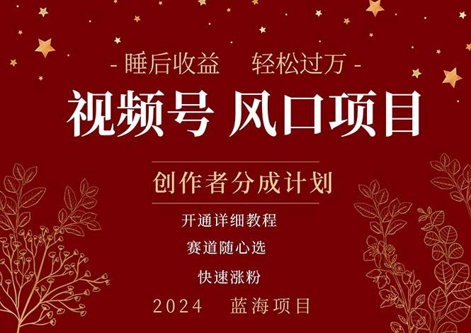 拥有睡眠收益的微信视频号大风口项目，轻松月入过万+，多赛道选择，可…-优优云网创