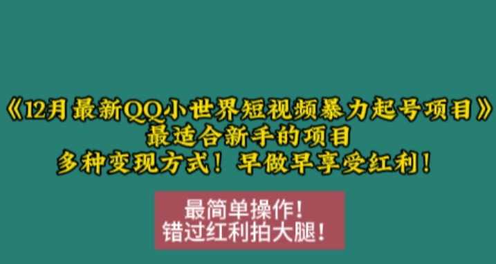12月最新QQ小世界短视频暴力起号项目，最适合新手的项目，多种变现方式-优优云网创