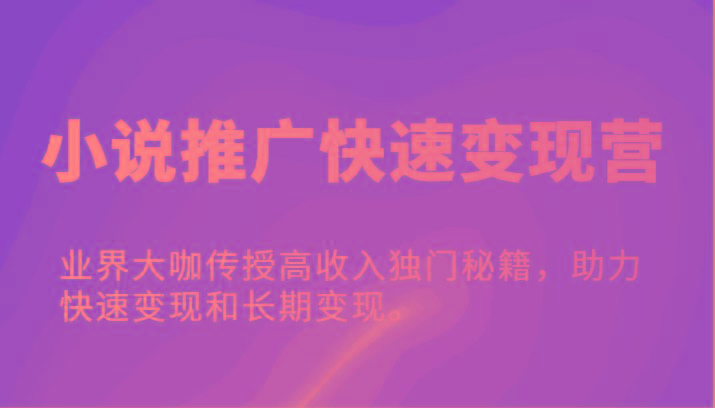 小说推广快速变现营-业界大咖传授高收入独门秘籍，助力快速变现和长期变现。-优优云网创